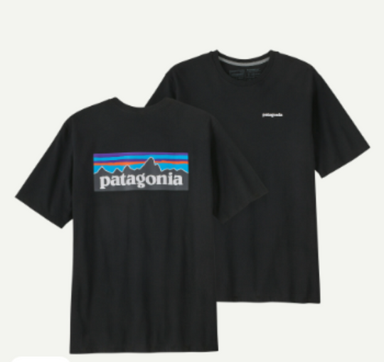 PATAGONIA - P-6 Logo Responsibili-Tee